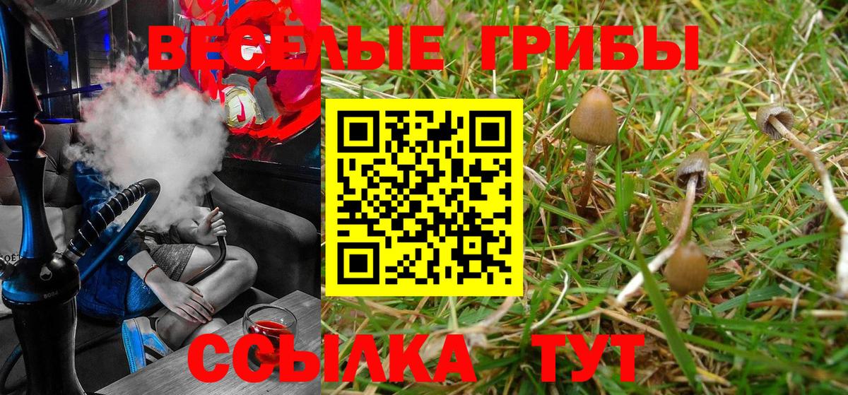 Галлюциногенные грибы мицелий  Галлюциногенные грибы Psilocybe  Вход с VPN  Еманжелинск 